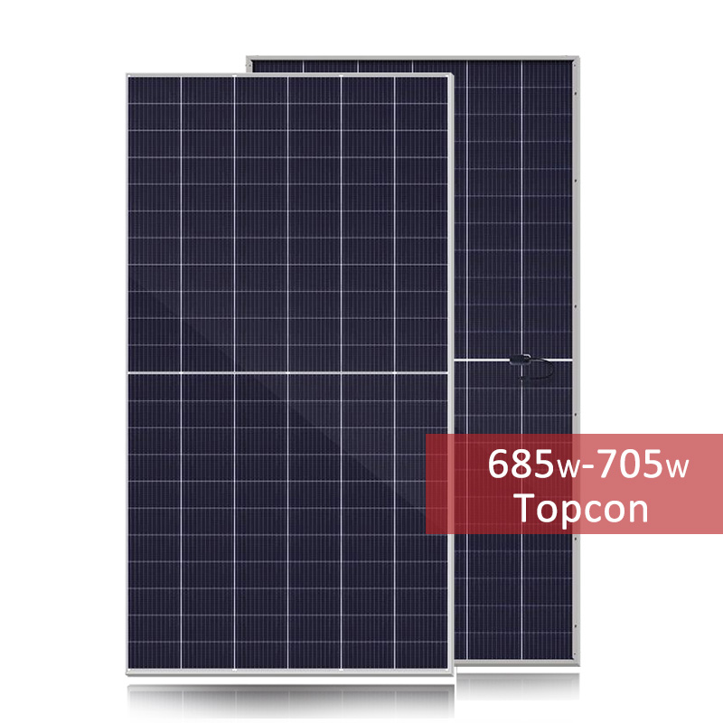 700W High Efficiency N-Topcon Bifacial Monocrystalline PV Modules Solar Panel